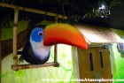 Rainforest Character Design
