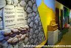 Bible Story Themed Environments