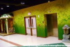 Rainforest Themed Room