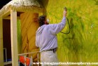 Painting Rainforest Murals