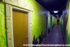 Cornerstone Church Rainforest Theme